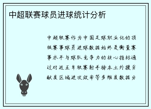 中超联赛球员进球统计分析