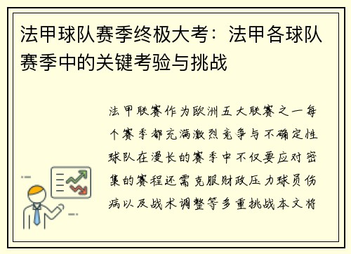 法甲球队赛季终极大考：法甲各球队赛季中的关键考验与挑战